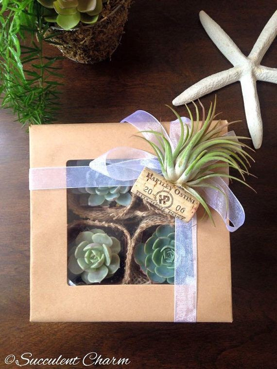 Best ideas about Plant Gift Ideas
. Save or Pin Best 25 Succulent ts ideas on Pinterest Now.