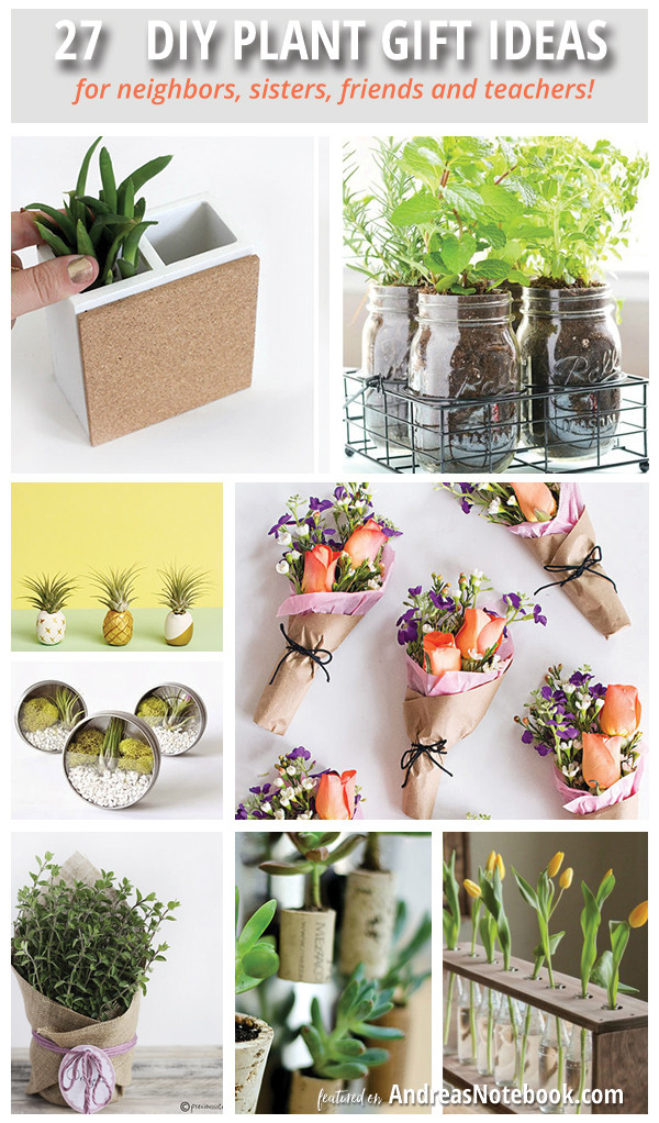 Best ideas about Plant Gift Ideas
. Save or Pin DIY Plant Gift Ideas Now.