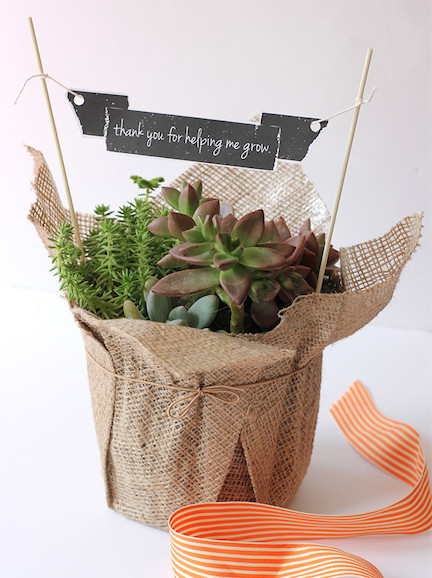 Best ideas about Plant Gift Ideas
. Save or Pin Teacher Appreciation Garden Plant Gift Ideas This Now.