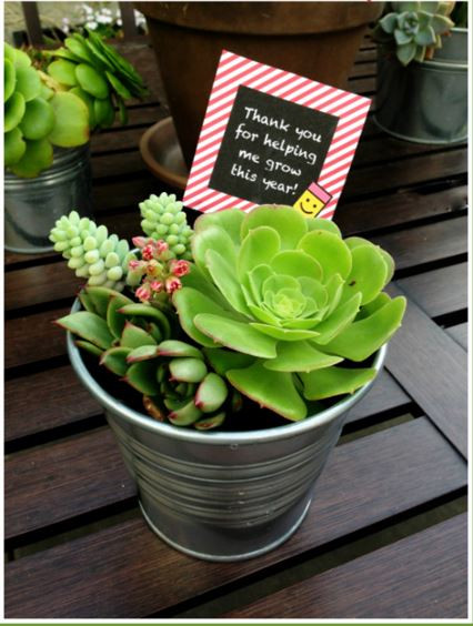 Best ideas about Plant Gift Ideas
. Save or Pin 15 Fun Inexpensive Teacher Gifts Now.