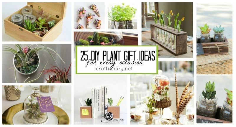 Best ideas about Plant Gift Ideas
. Save or Pin Craftionary Now.