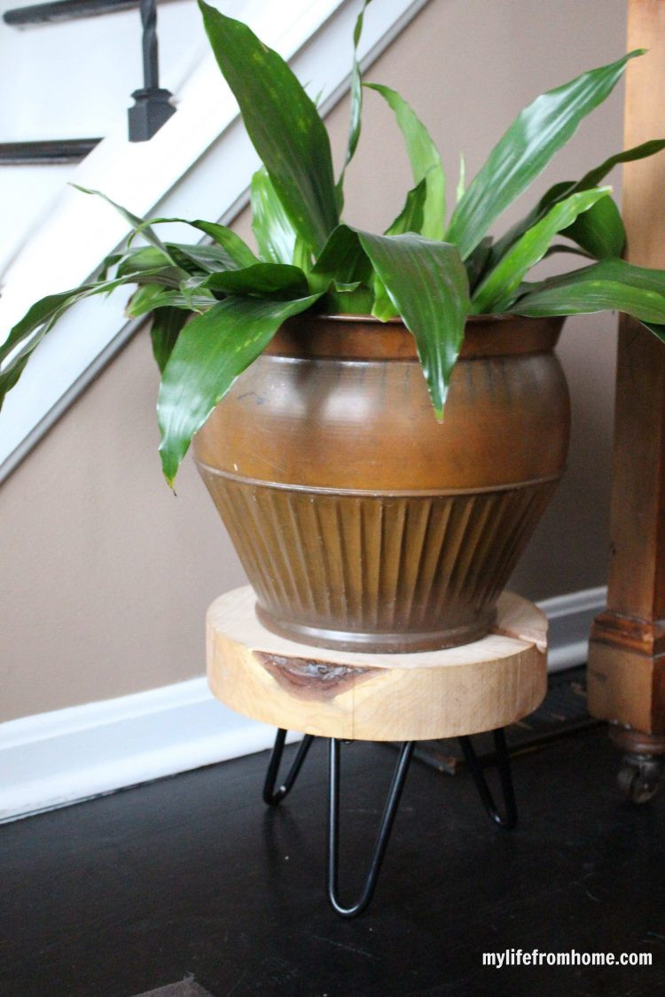 Best ideas about Plant Stand DIY
. Save or Pin 15 DIY Plant Stands to Fill Your Home With Greenery Now.