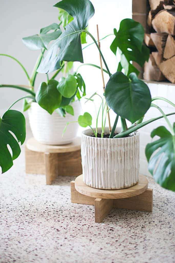 Best ideas about Plant Stands DIY
. Save or Pin DIY Modern Wood Plant Stands A Beautiful Mess Now.