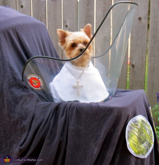 Best ideas about Pope Costume DIY
. Save or Pin DIY Pope Dog Costume Now.