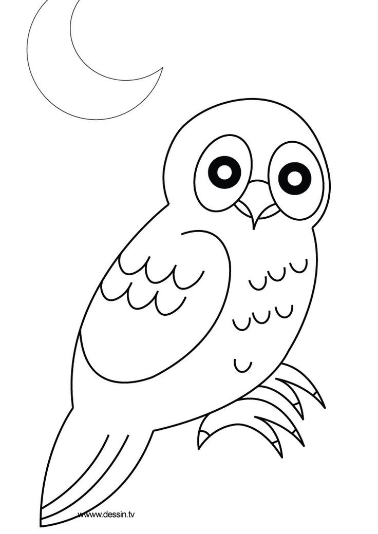 Best ideas about Preschool Coloring Sheets Owl
. Save or Pin 24 best Owl stuff images on Pinterest Now.