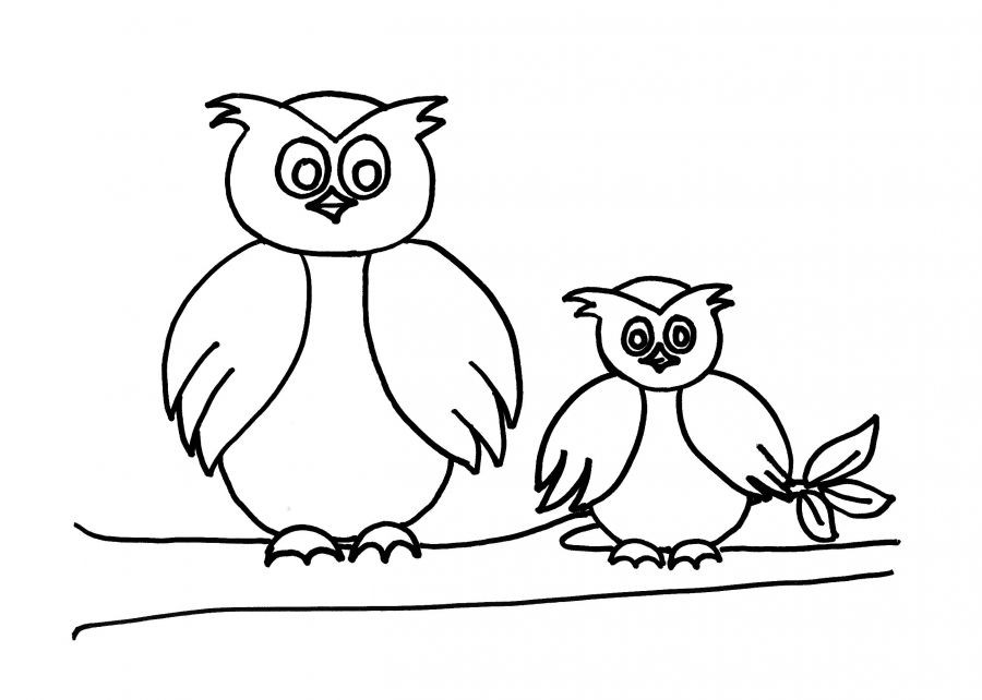 Best ideas about Preschool Coloring Sheets Owl
. Save or Pin Cute Printable Owl Coloring Pages for Kids Now.
