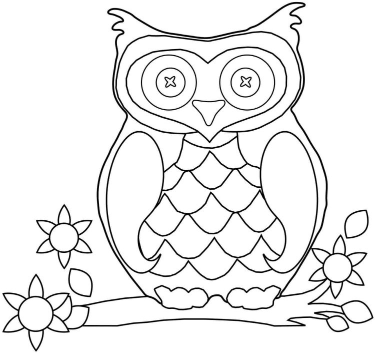 Best ideas about Preschool Coloring Sheets Owl
. Save or Pin Dessin hibou à imprimer et bricolage chouette pour enfants Now.