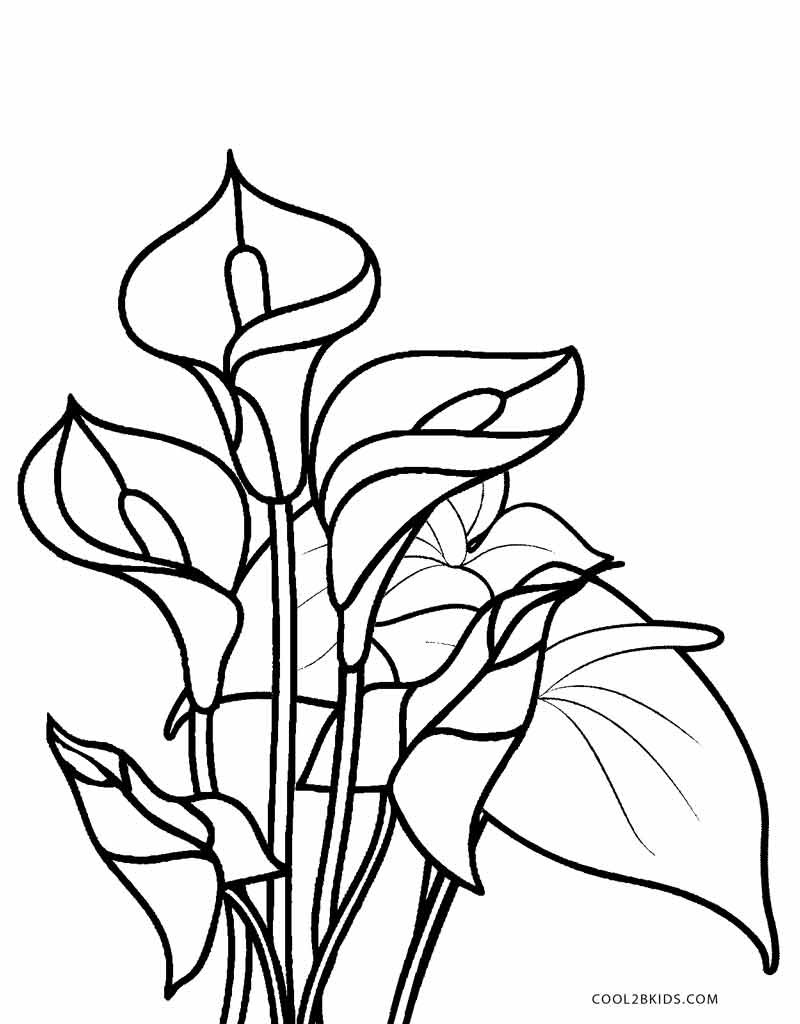 Best ideas about Printable Coloring Pages Flowers
. Save or Pin Free Printable Flower Coloring Pages For Kids Now.
