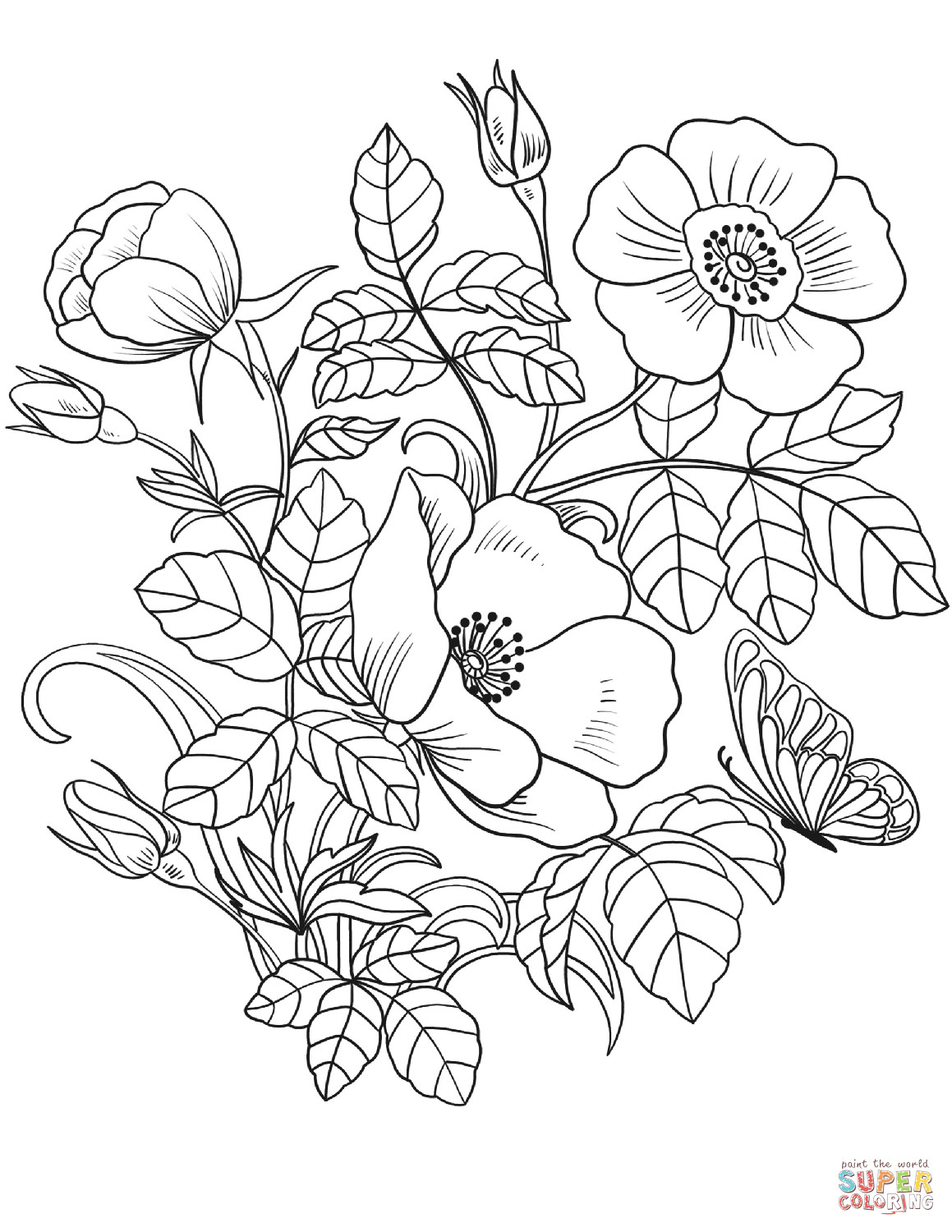 Best ideas about Printable Coloring Sheets Of Flowers
. Save or Pin Spring Flowers coloring page Now.