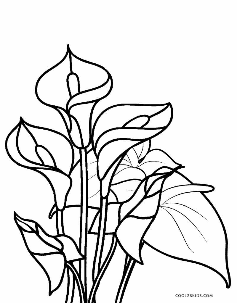 Best ideas about Printable Coloring Sheets Of Flowers
. Save or Pin Free Printable Flower Coloring Pages For Kids Now.