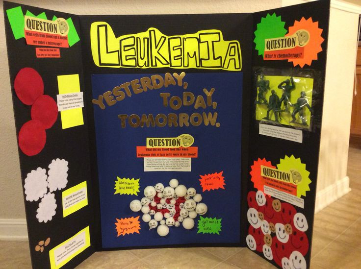 Best ideas about Projects To Do
. Save or Pin Science Project on Leukemia Now.