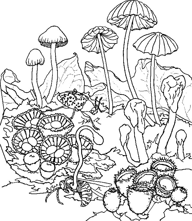 Best ideas about Psychedelic Coloring Pages For Adults
. Save or Pin Printable Trippy Coloring Pages Coloring Home Now.