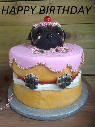 Best ideas about Pug Birthday Cake
. Save or Pin Pug cake … Desserts Now.