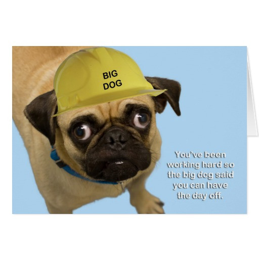 Best ideas about Pug Birthday Card
. Save or Pin Pug Birthday Card Now.