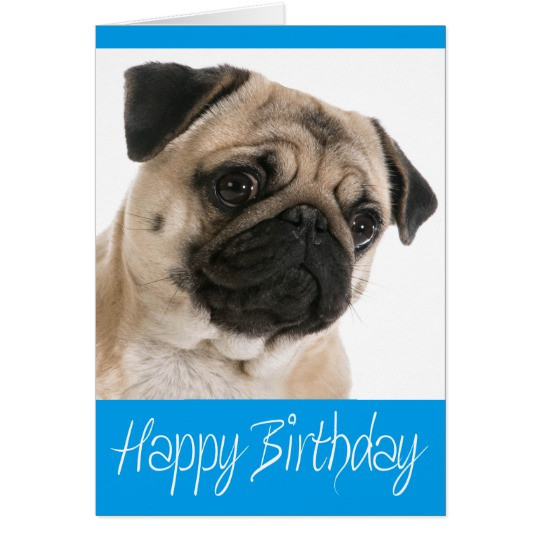 Best ideas about Pug Birthday Card
. Save or Pin Pug Puppy Dog Happy Birthday Card Verse inside Now.