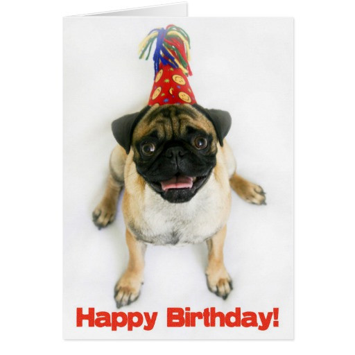 Best ideas about Pug Birthday Card
. Save or Pin Pug Birthday Card Now.