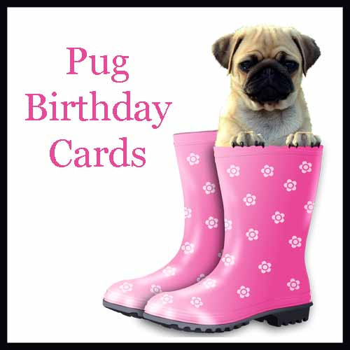 Best ideas about Pug Birthday Card
. Save or Pin Celebrate The Wrinkles With These Pug Birthday Cards Now.