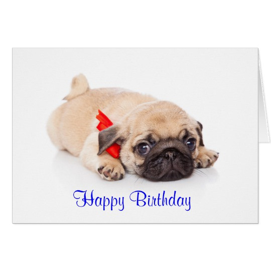 Best ideas about Pug Birthday Card
. Save or Pin Pug Puppy Dog Happy Birthday Card Verse inside Now.