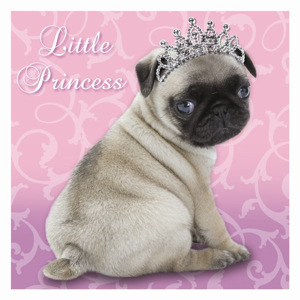 Best ideas about Pug Birthday Card
. Save or Pin Document Moved Now.