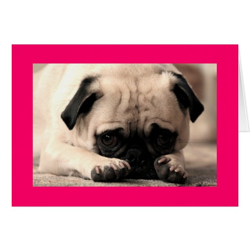 Best ideas about Pug Birthday Card
. Save or Pin Happy Birthday Pug Puppy Dog Pink Greeting Card Now.