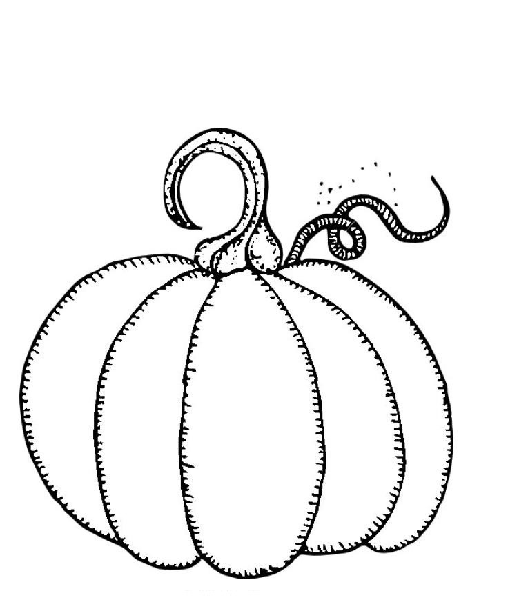 Best ideas about Pumkin Coloring Sheets For Boys
. Save or Pin Pumpkin Outline Printable Clipartion Now.