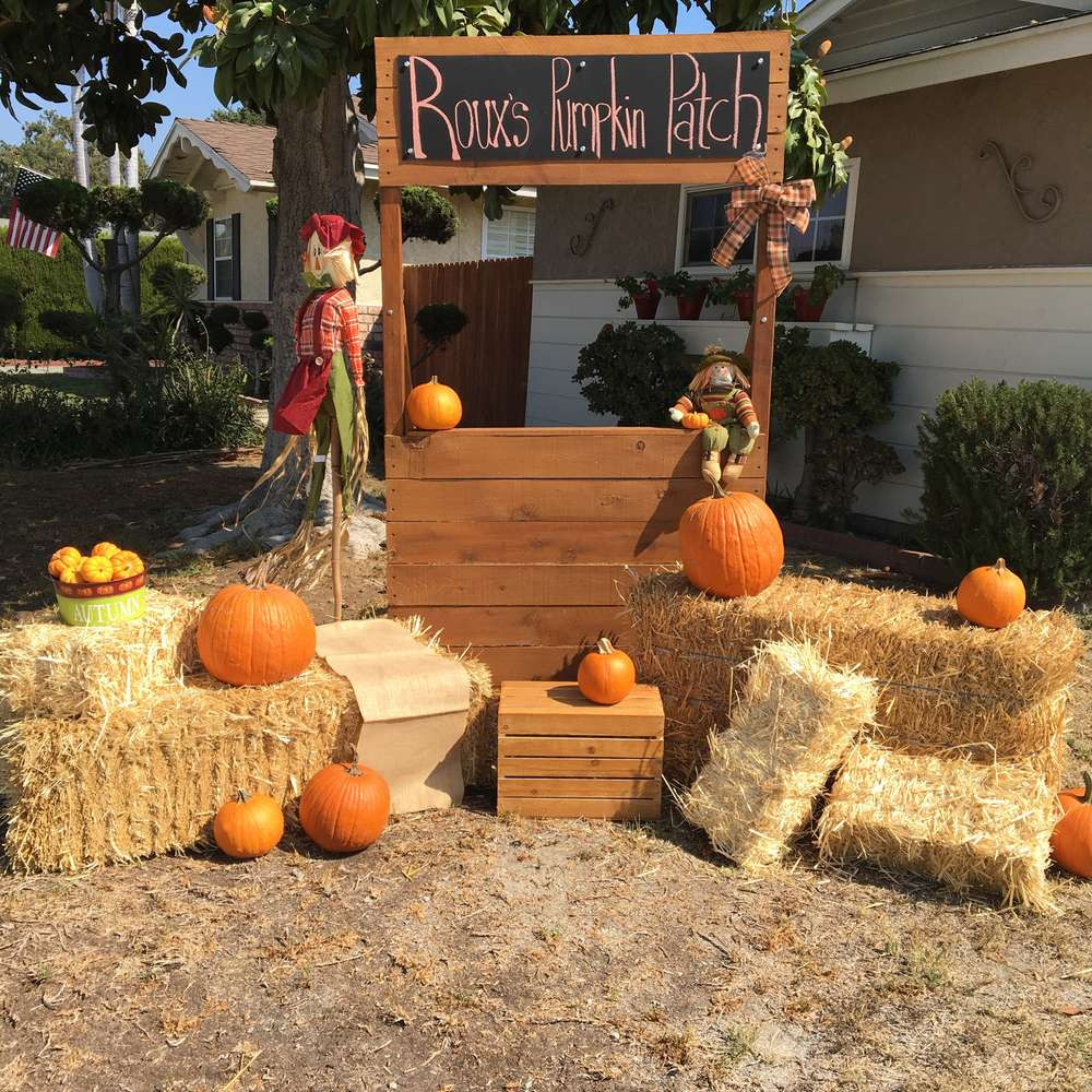 Best ideas about Pumpkin Patch Birthday Party
. Save or Pin Autumn Pumpkin Patch Party Birthday Party Ideas Now.