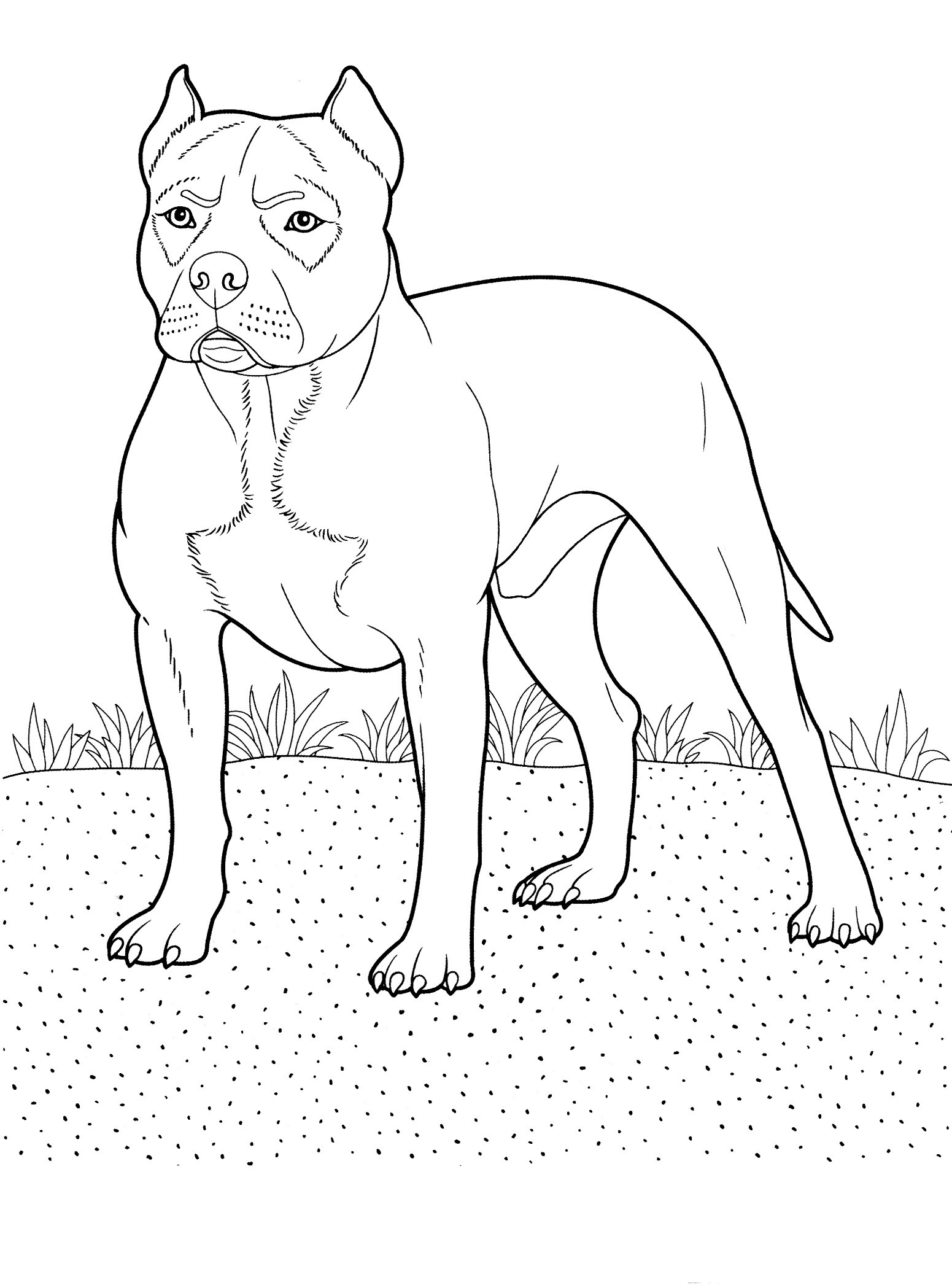 Best ideas about Puppy Coloring Pages For Teens
. Save or Pin dog coloring pages 14 Teenagers coloring pages Now.