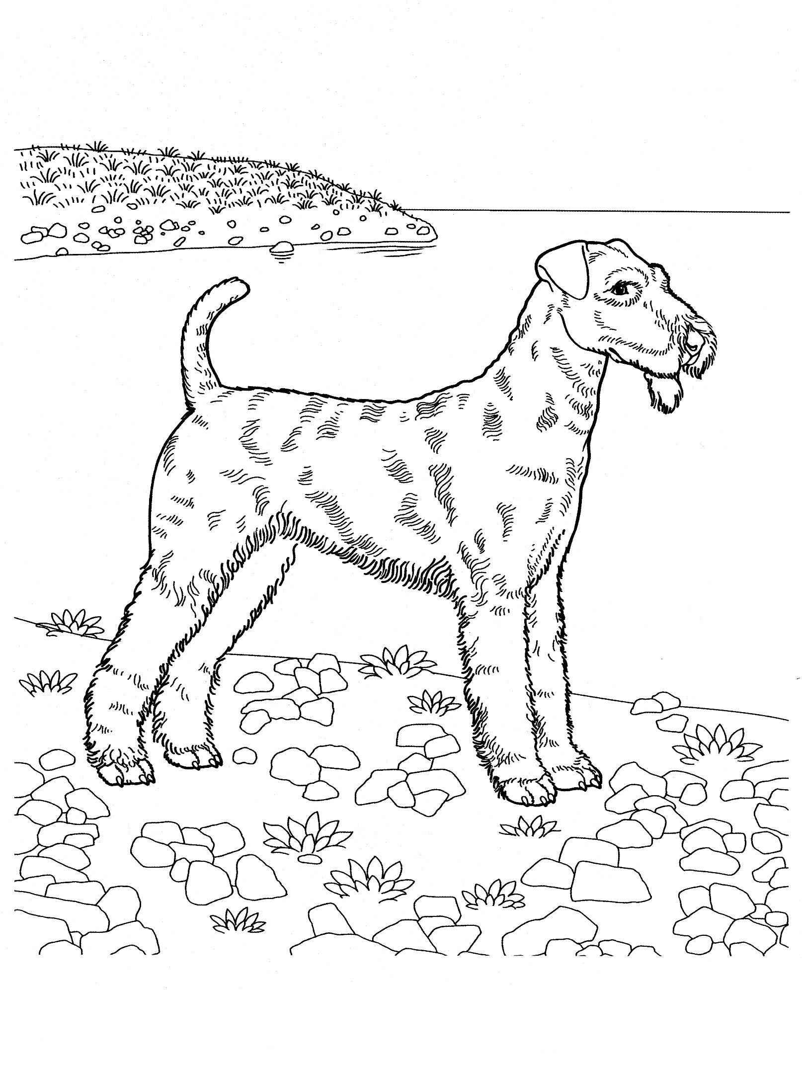 Best ideas about Puppy Coloring Pages For Teens
. Save or Pin dog coloring pages Teenagers coloring pages Now.