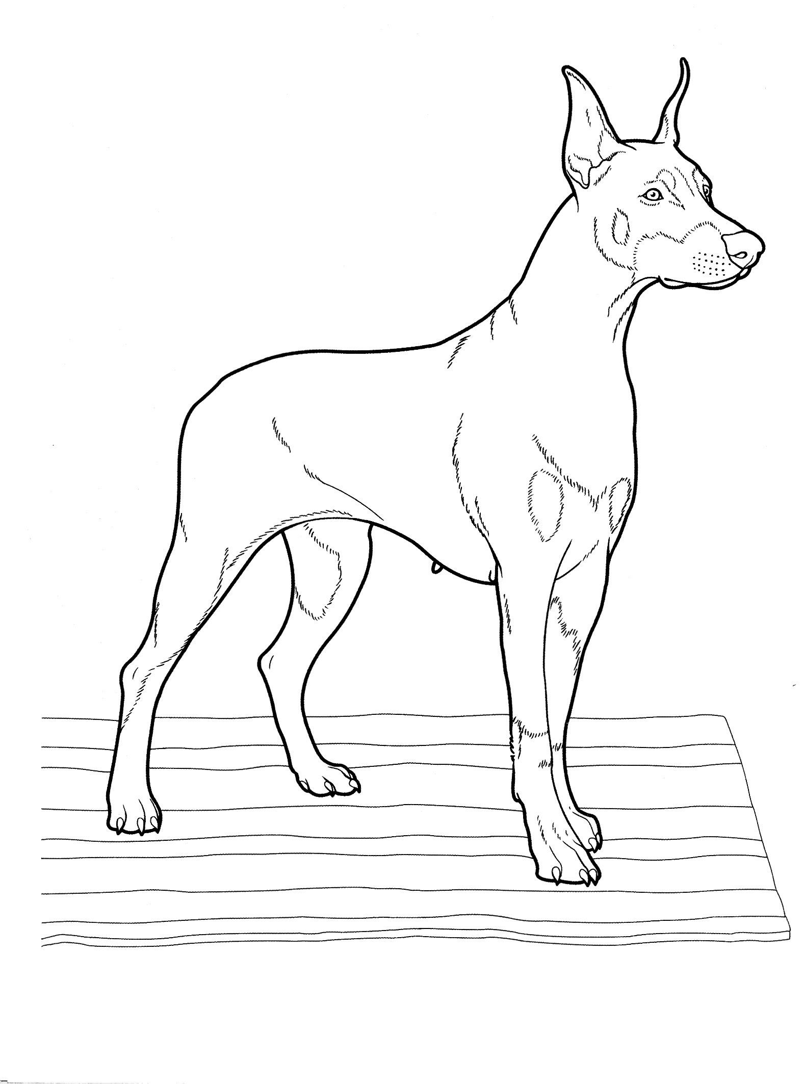 Best ideas about Puppy Coloring Pages For Teens
. Save or Pin dog coloring pages 25 Teenagers coloring pages Now.