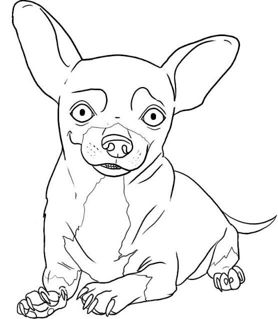 Best ideas about Puppy Coloring Pages For Teens
. Save or Pin How To Draw A Chihuahua Now.