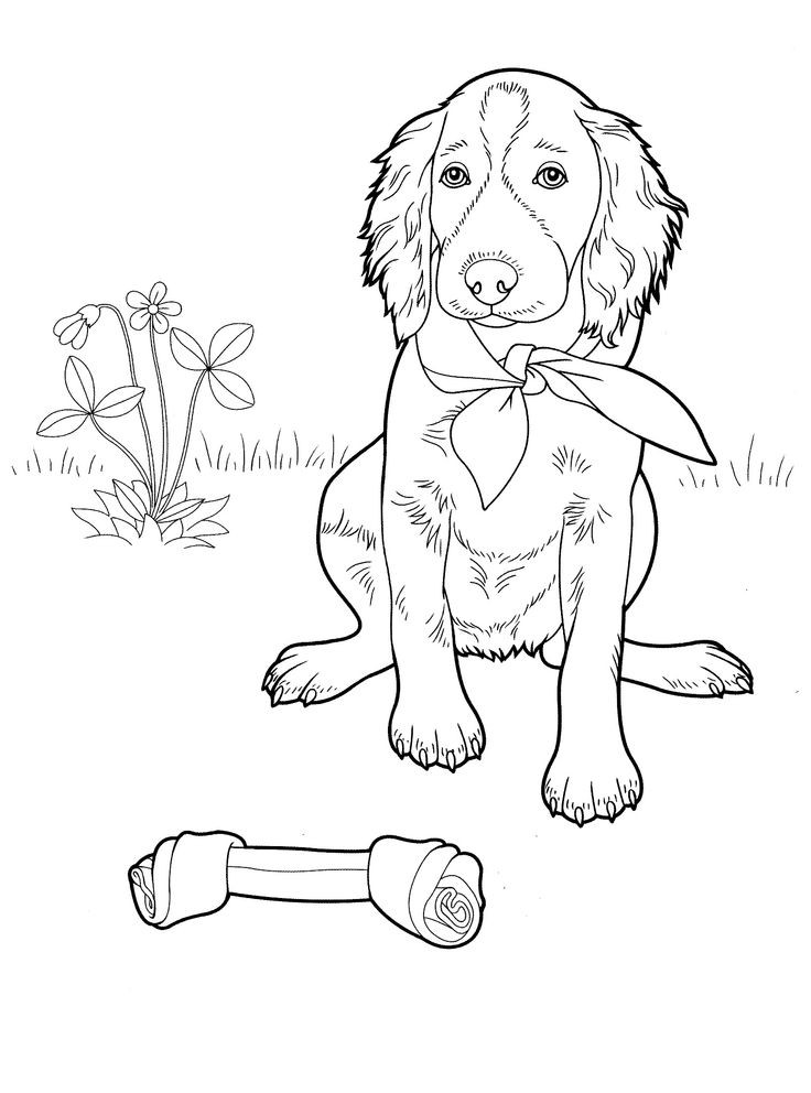 Best ideas about Puppy Coloring Pages For Teens
. Save or Pin dog coloring pages 17 Teenagers coloring pages Now.
