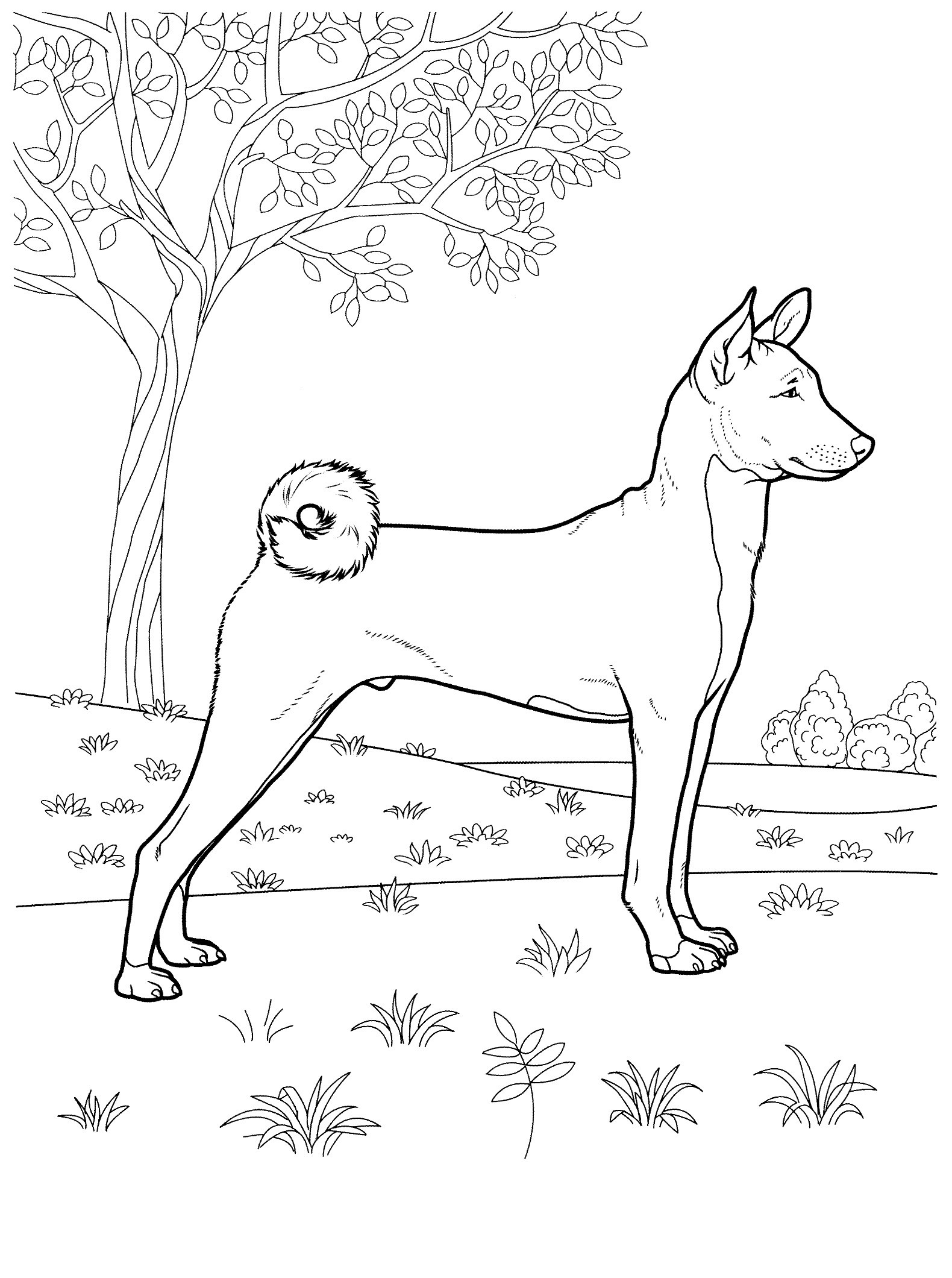 Best ideas about Puppy Coloring Pages For Teens
. Save or Pin dog coloring pages 34 Teenagers coloring pages Now.