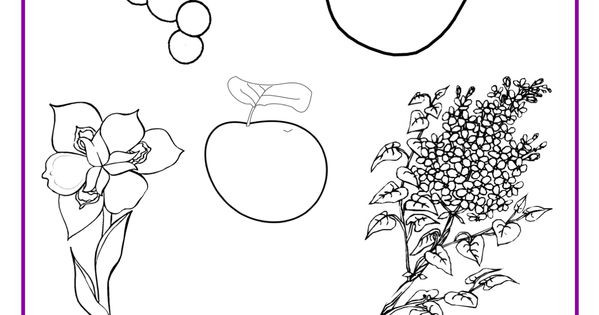 Best ideas about Purple Preschool Coloring Sheets
. Save or Pin PURPLE Color Activity Sheet Colors Pinterest Now.