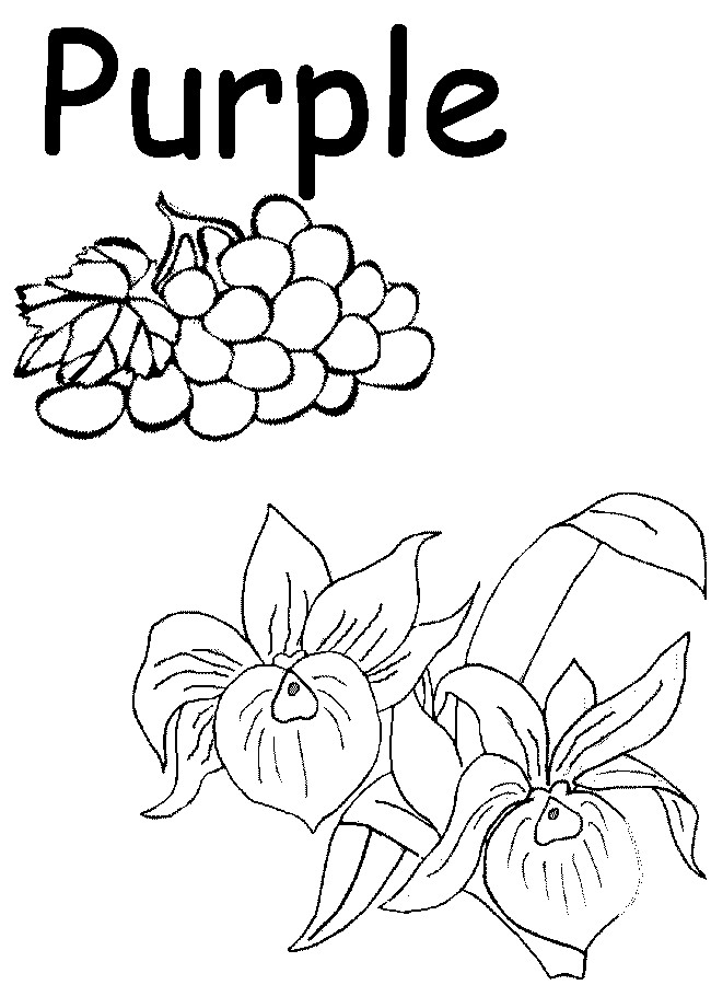 Best ideas about Purple Preschool Coloring Sheets
. Save or Pin The Color Purple Number Pages Coloring Home Now.