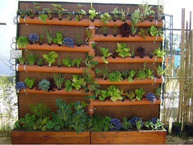 Best ideas about Pvc Vertical Garden
. Save or Pin DIY Vertical PVC Planter Now.