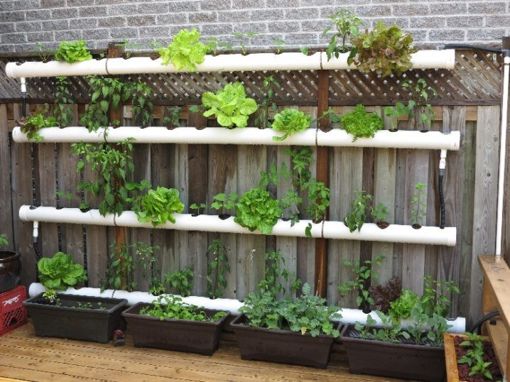 Best ideas about Pvc Vertical Garden
. Save or Pin Cool PVC Pipe Planters That Will Beautify Any Garden Now.