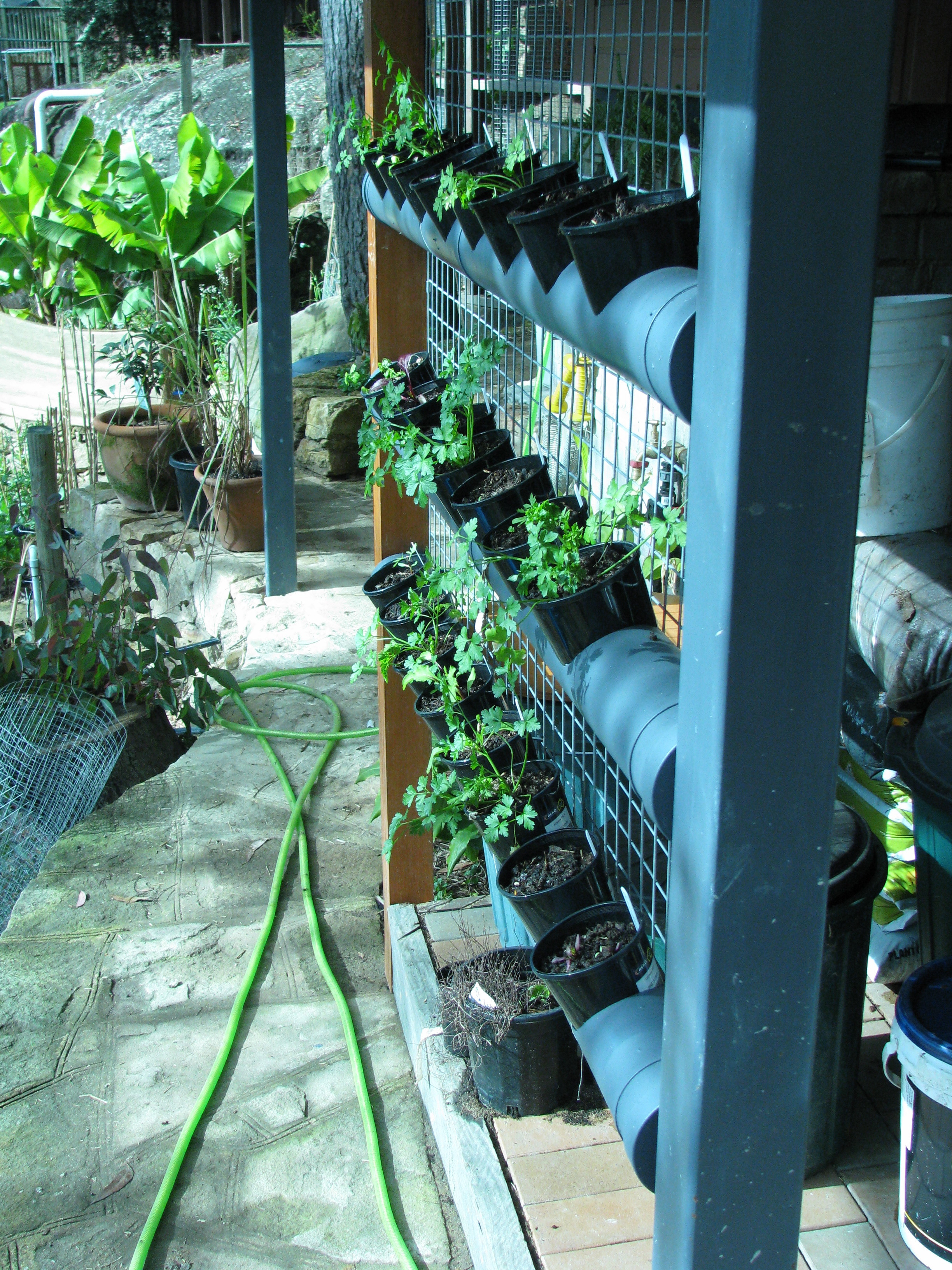 Best ideas about Pvc Vertical Garden
. Save or Pin vertical garden from PVC pipe Now.