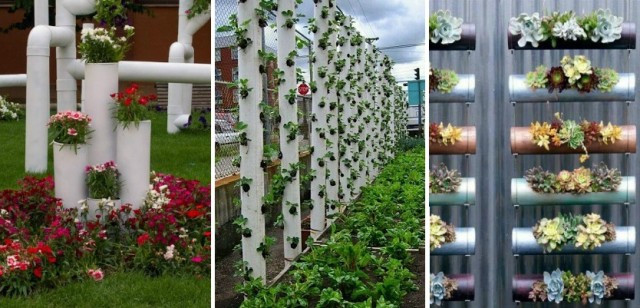 Best ideas about Pvc Vertical Garden
. Save or Pin DIY Vertical PVC Planter Now.