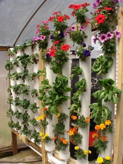 Best ideas about Pvc Vertical Garden
. Save or Pin Wonderful urban vertical gardening ideas you can also try Now.