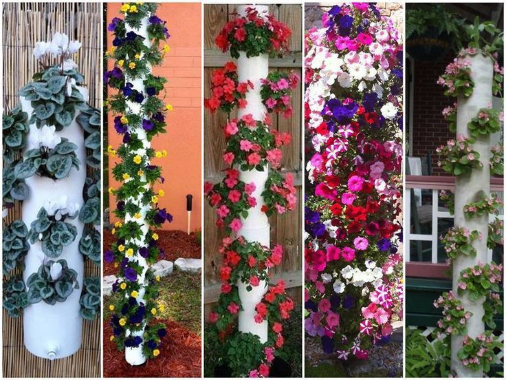 Best ideas about Pvc Vertical Garden
. Save or Pin DIY Vertical PVC Planter Now.