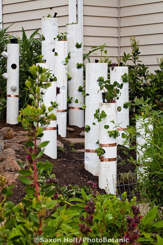 Best ideas about Pvc Vertical Garden
. Save or Pin Vertical gardening pvc pipe with ve ables and copper Now.