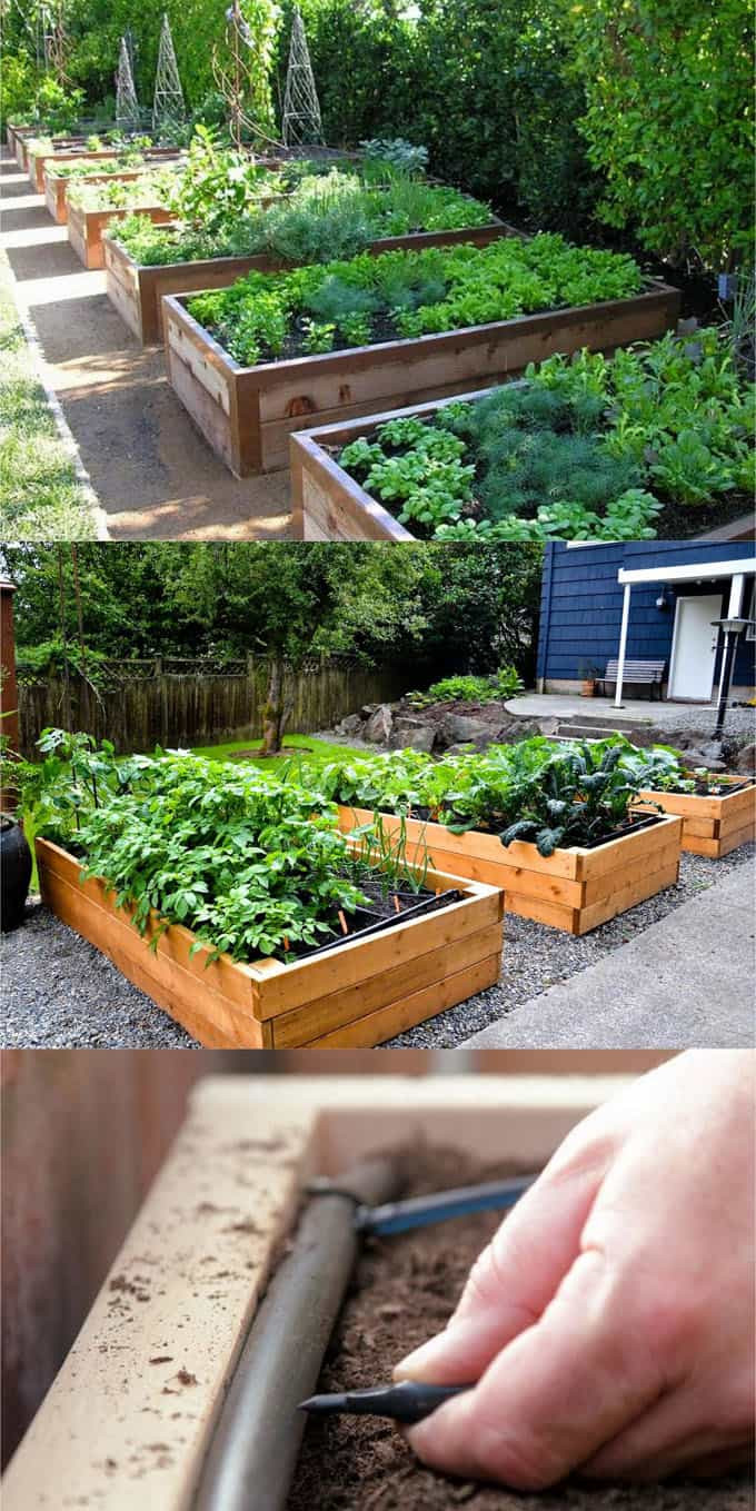 Best ideas about Raised Garden Beds DIY
. Save or Pin All About DIY Raised Bed Gardens Part 1 A Piece Rainbow Now.