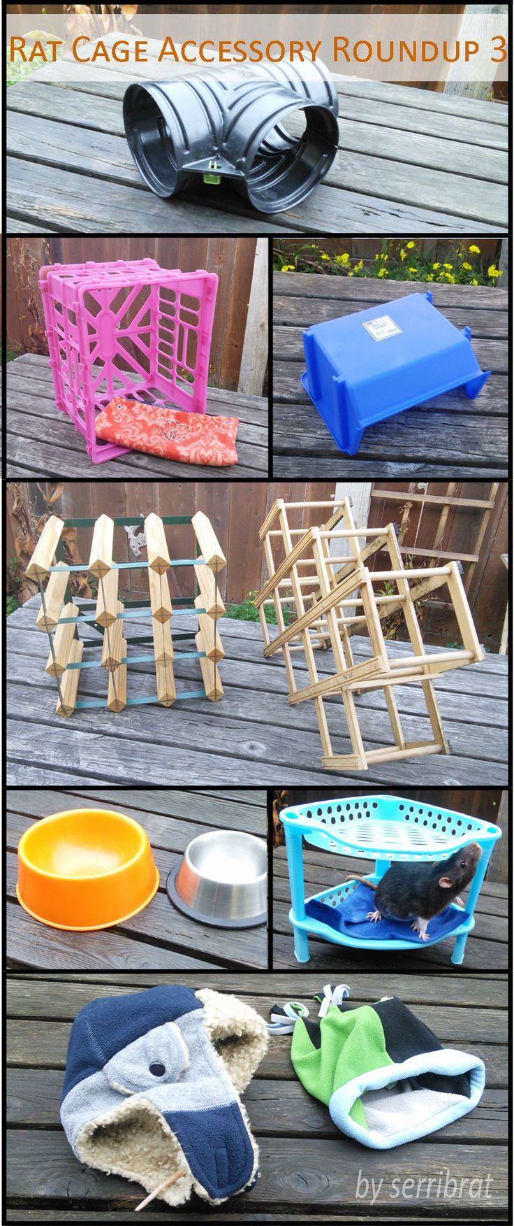 Best ideas about Rat Toys DIY
. Save or Pin 25 best ideas about Rat Cage Accessories on Pinterest Now.