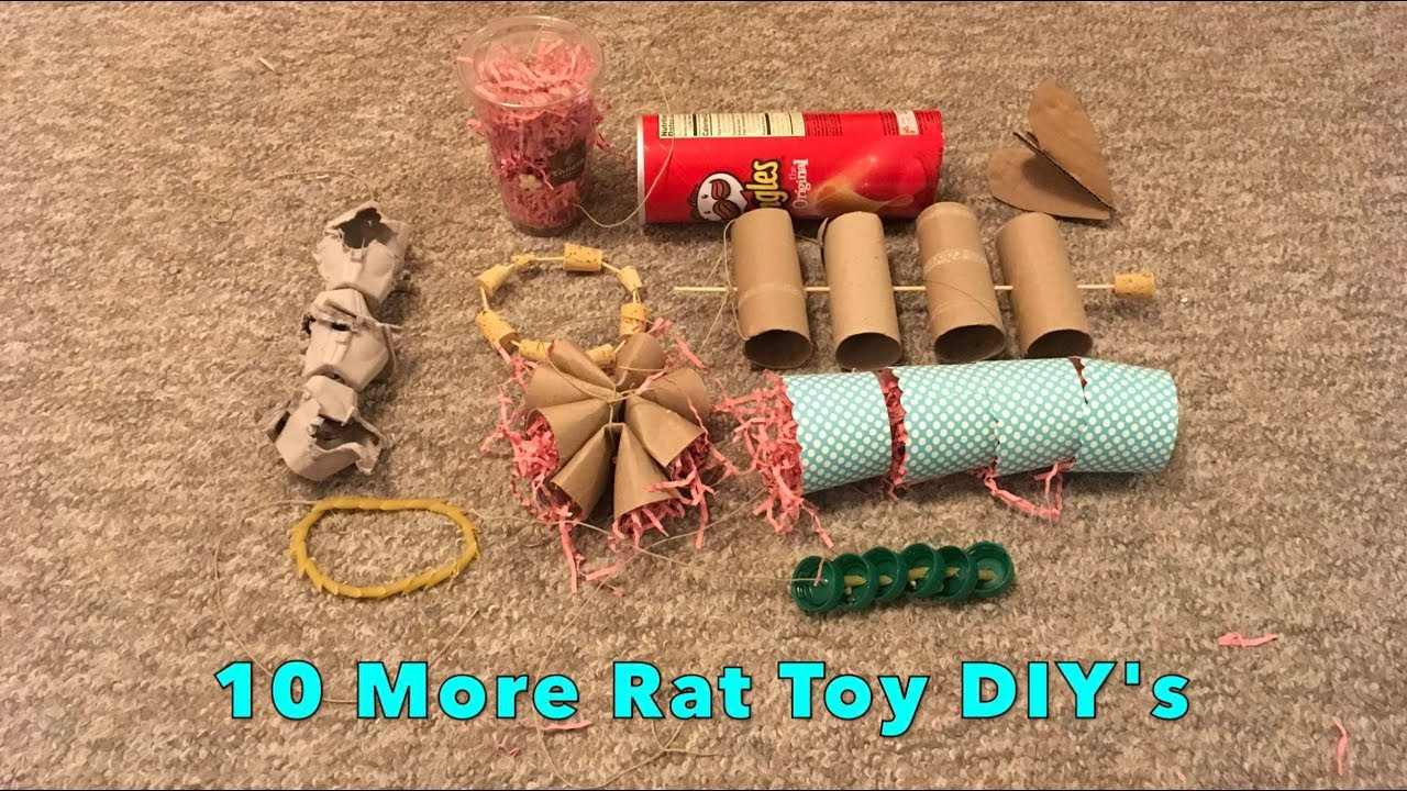Best ideas about Rat Toys DIY
. Save or Pin 10 Cool DIY Rat Toys Now.