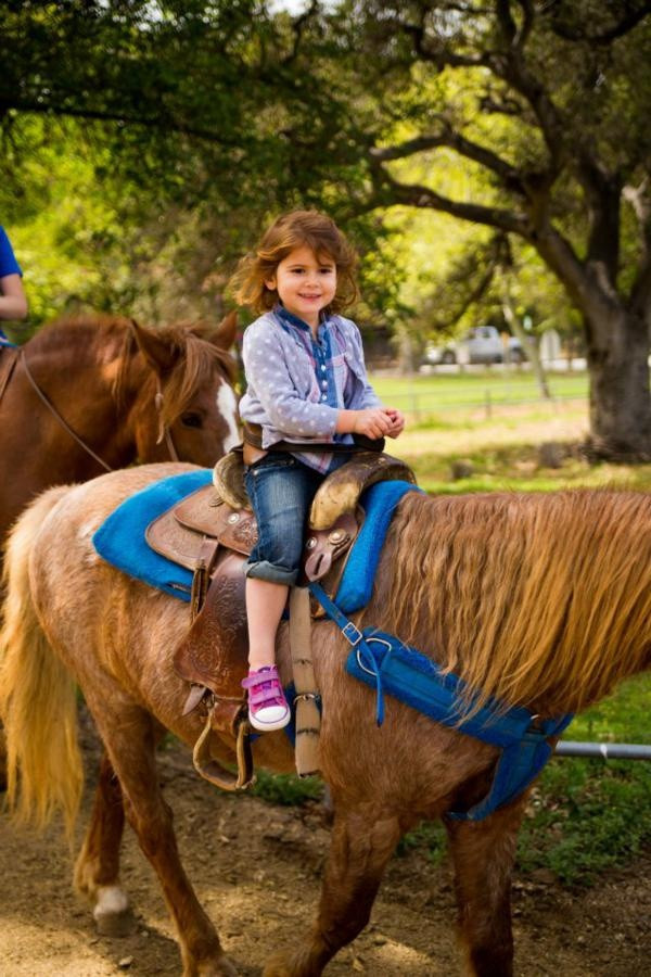 Best ideas about Rent A Horse For A Birthday Party
. Save or Pin 138 best images about Horse Theme Birthday Party on Pinterest Now.