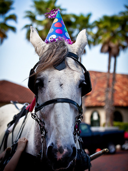 Best ideas about Rent A Horse For A Birthday Party
. Save or Pin Birthday Parties Now.