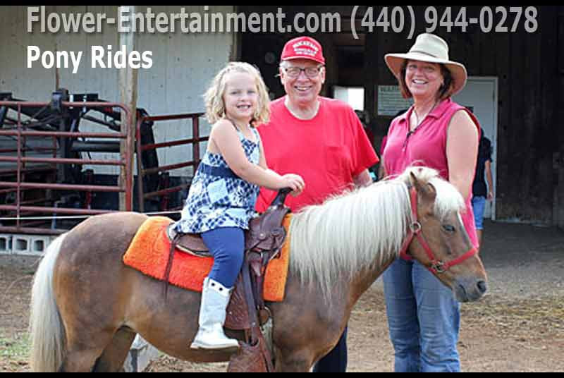 Best ideas about Rent A Horse For A Birthday Party
. Save or Pin Cleveland Pony Ride Rentals Flower Entertainment Now.