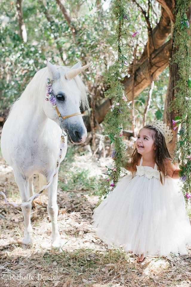 Best ideas about Rent A Horse For A Birthday Party
. Save or Pin Ponies for parties carriage rides miniature horse rides Now.