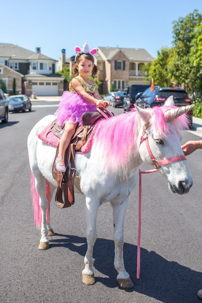 Best ideas about Rent A Horse For A Birthday Party
. Save or Pin Magical Unicorn Birthday Party Now.