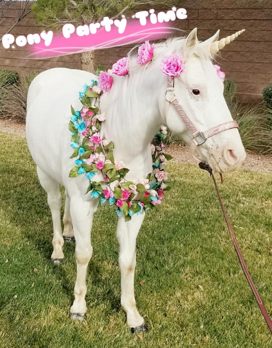 Best ideas about Rent A Horse For A Birthday Party
. Save or Pin Pony Party Time – Pony Rides and Petting Zoo for Birthday Now.